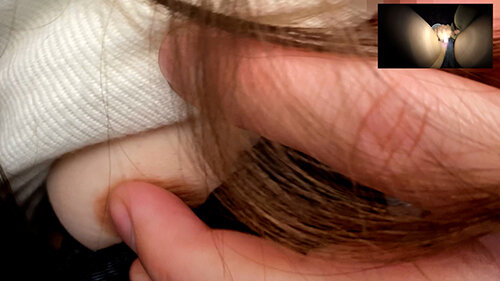 サンプル画像 16