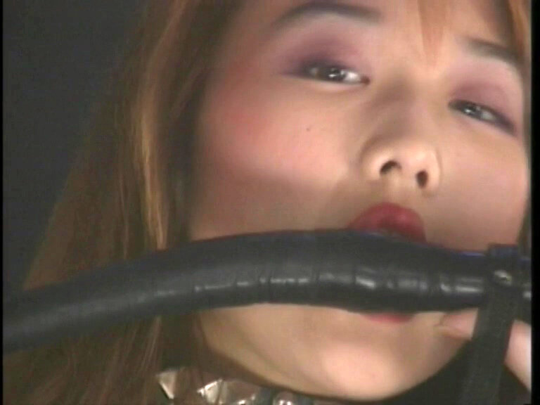 サンプル画像 5