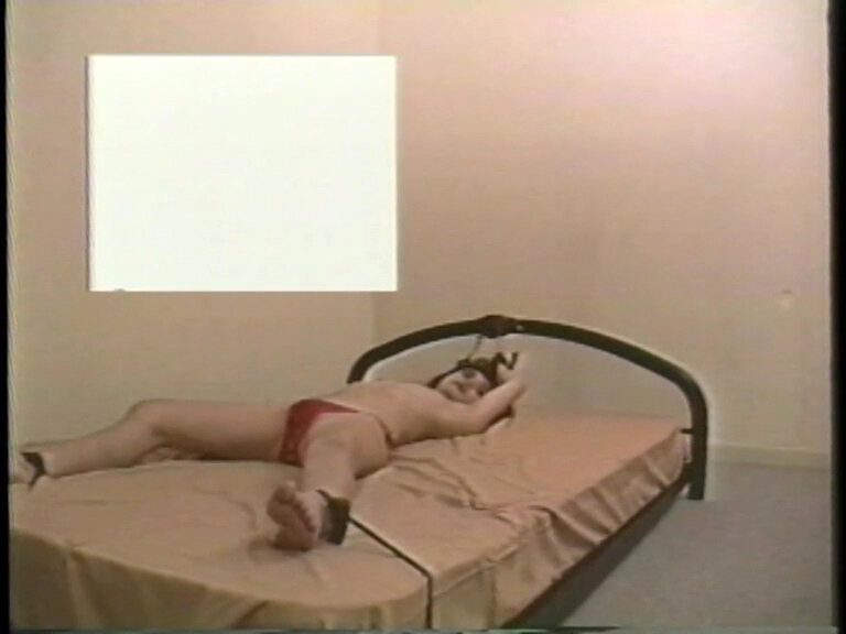 サンプル画像 4