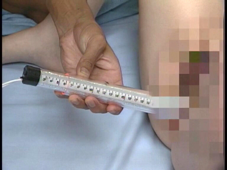 サンプル画像 6