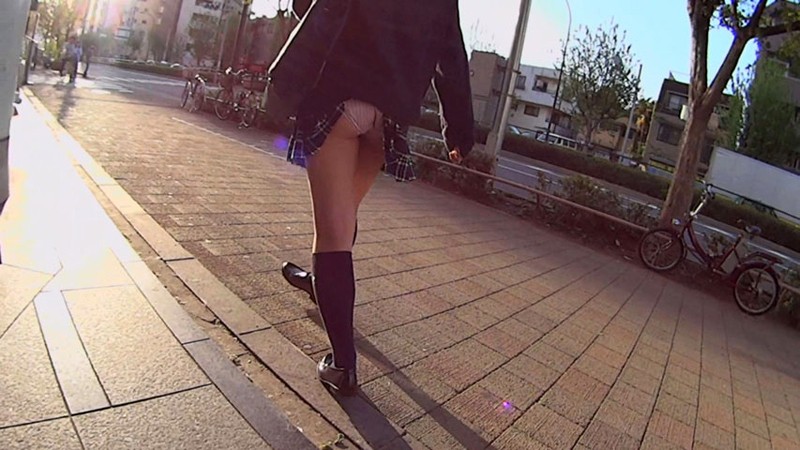 サンプル画像 13