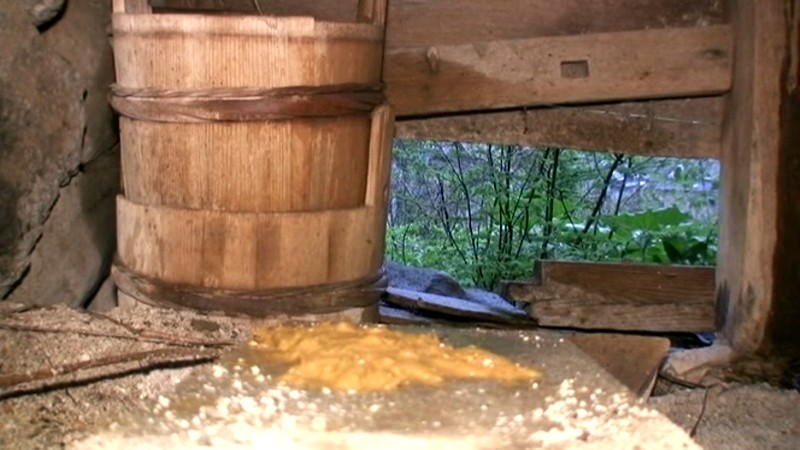 サンプル画像 7