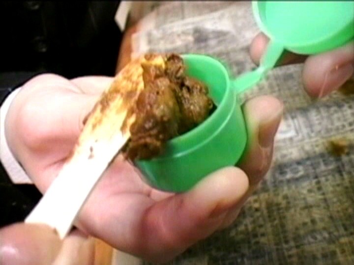 サンプル画像 20