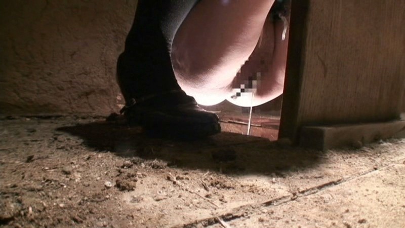 サンプル画像 6