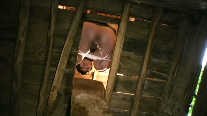 サンプル画像 9