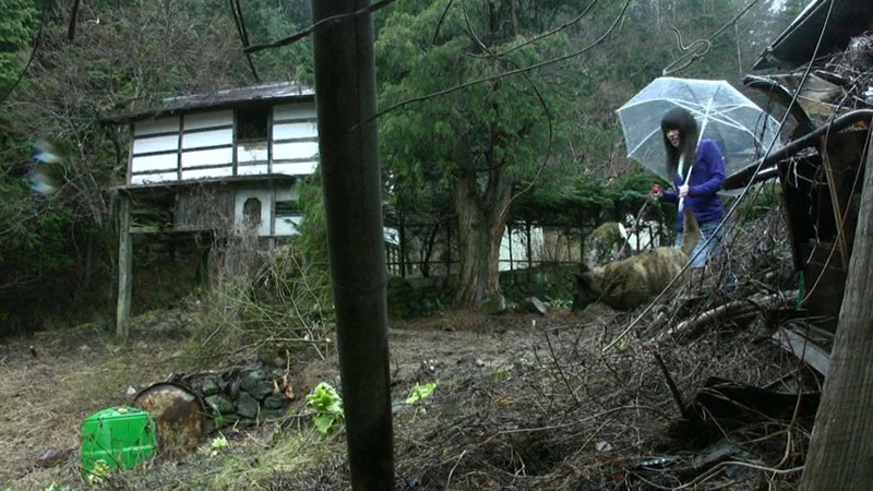 サンプル画像 3