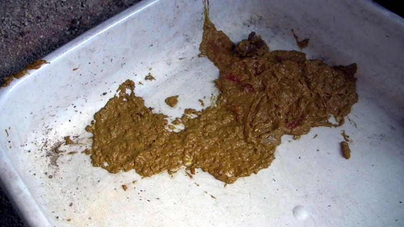 サンプル画像 10