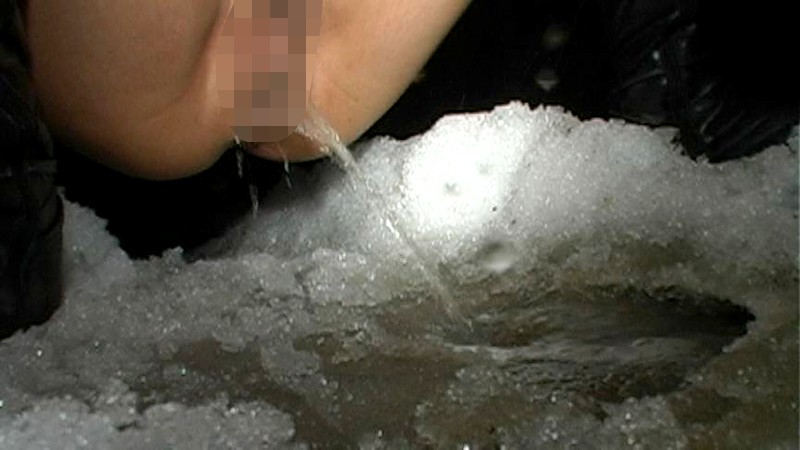 サンプル画像 11