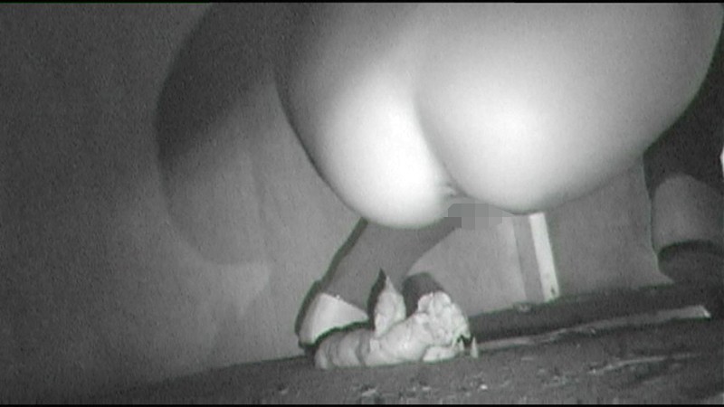 サンプル画像 4