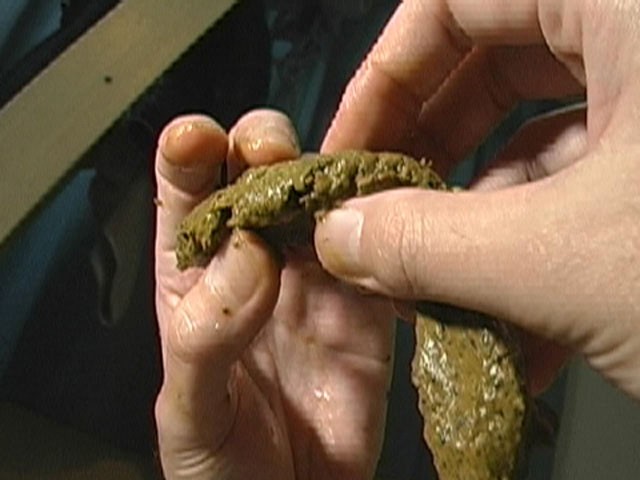 サンプル画像 8