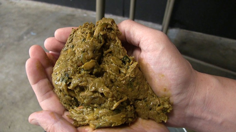 サンプル画像 18