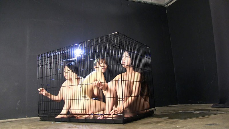 サンプル画像 6