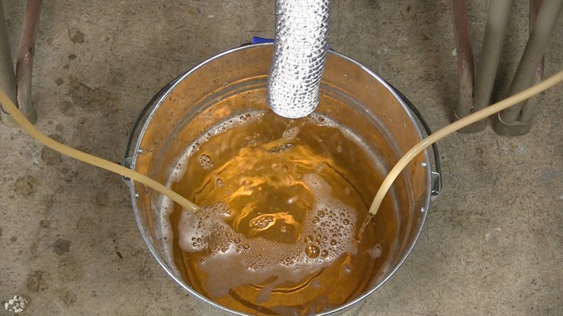 サンプル画像 8