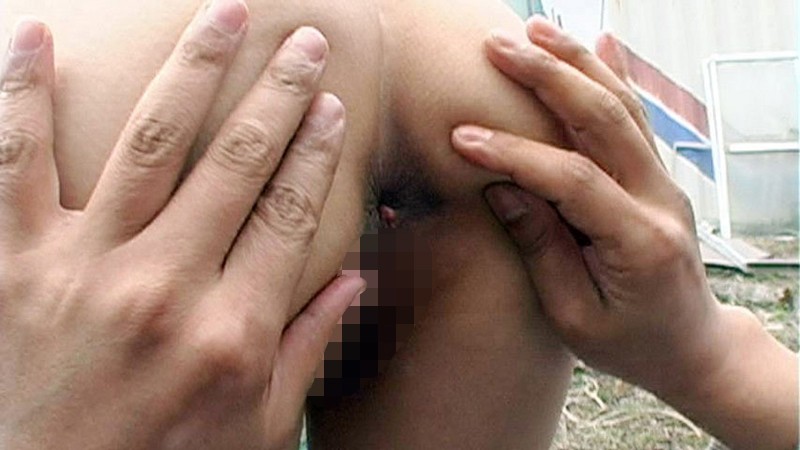 サンプル画像 11