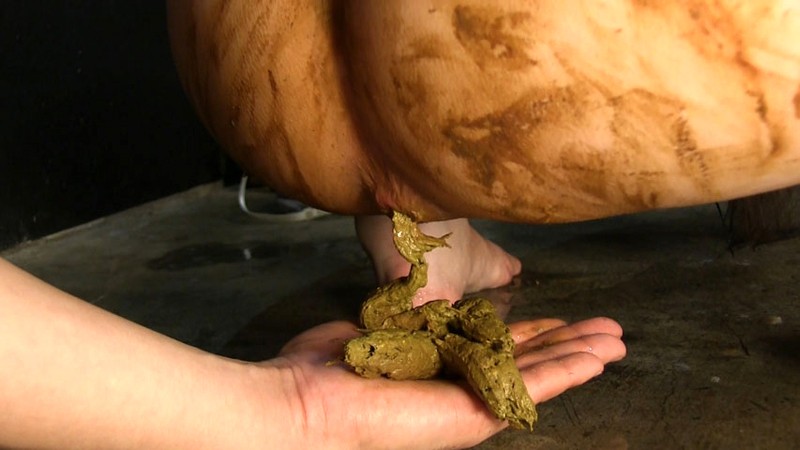 サンプル画像 4