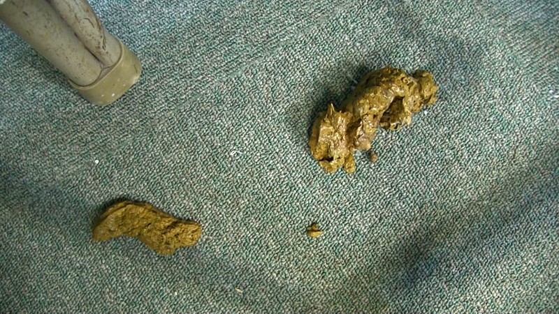 サンプル画像 16