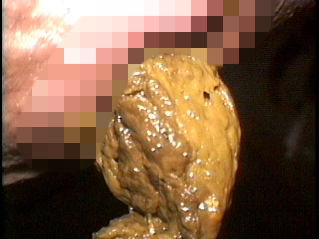 サンプル画像 8