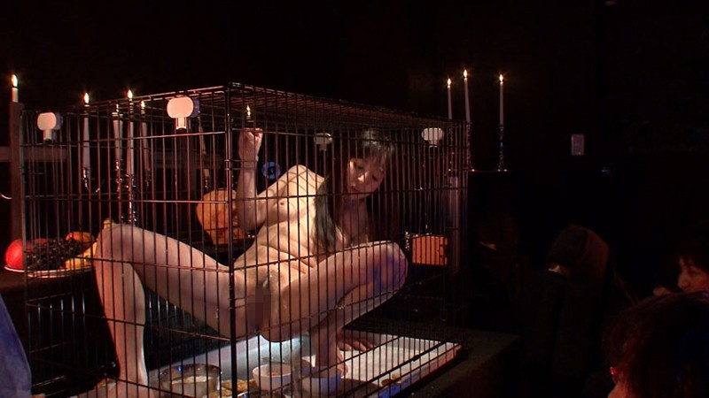 サンプル画像 7