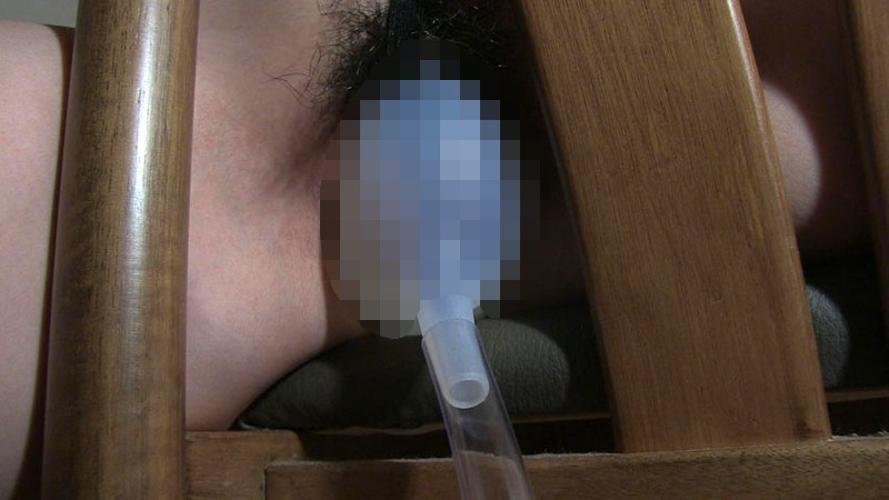 サンプル画像 15