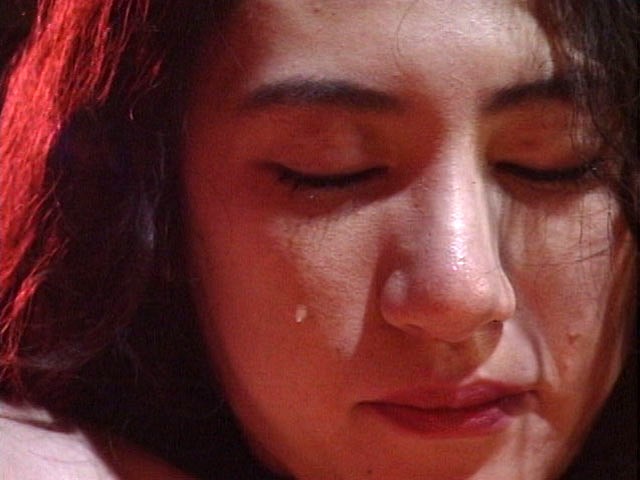 サンプル画像 13