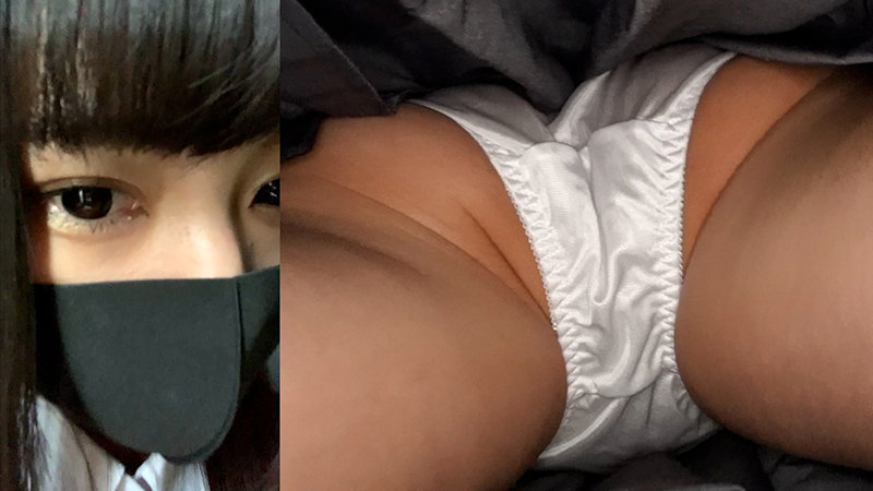 サンプル画像 5