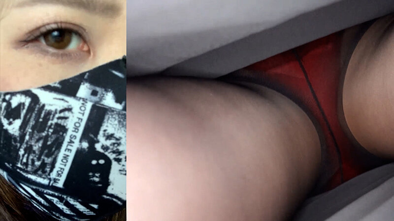 サンプル画像 3