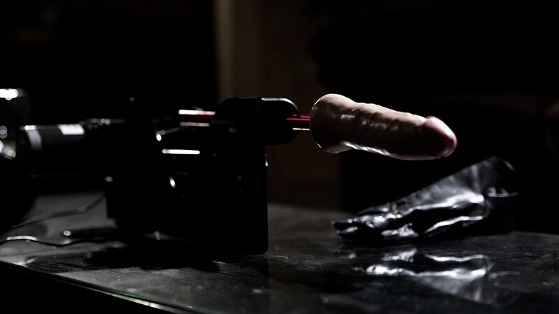 サンプル画像 8