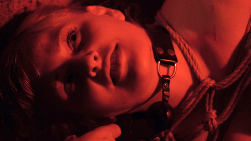 サンプル画像 15