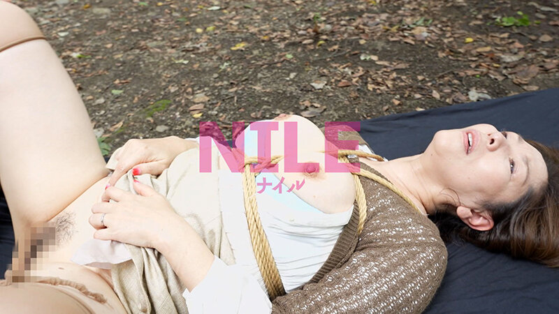 サンプル画像 8