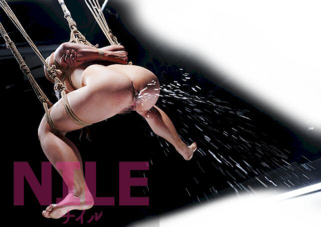 サンプル画像 16