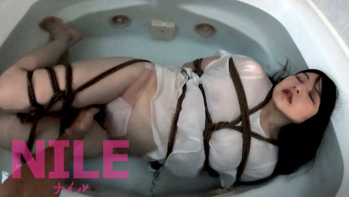 サンプル画像 15