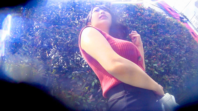 サンプル画像 16