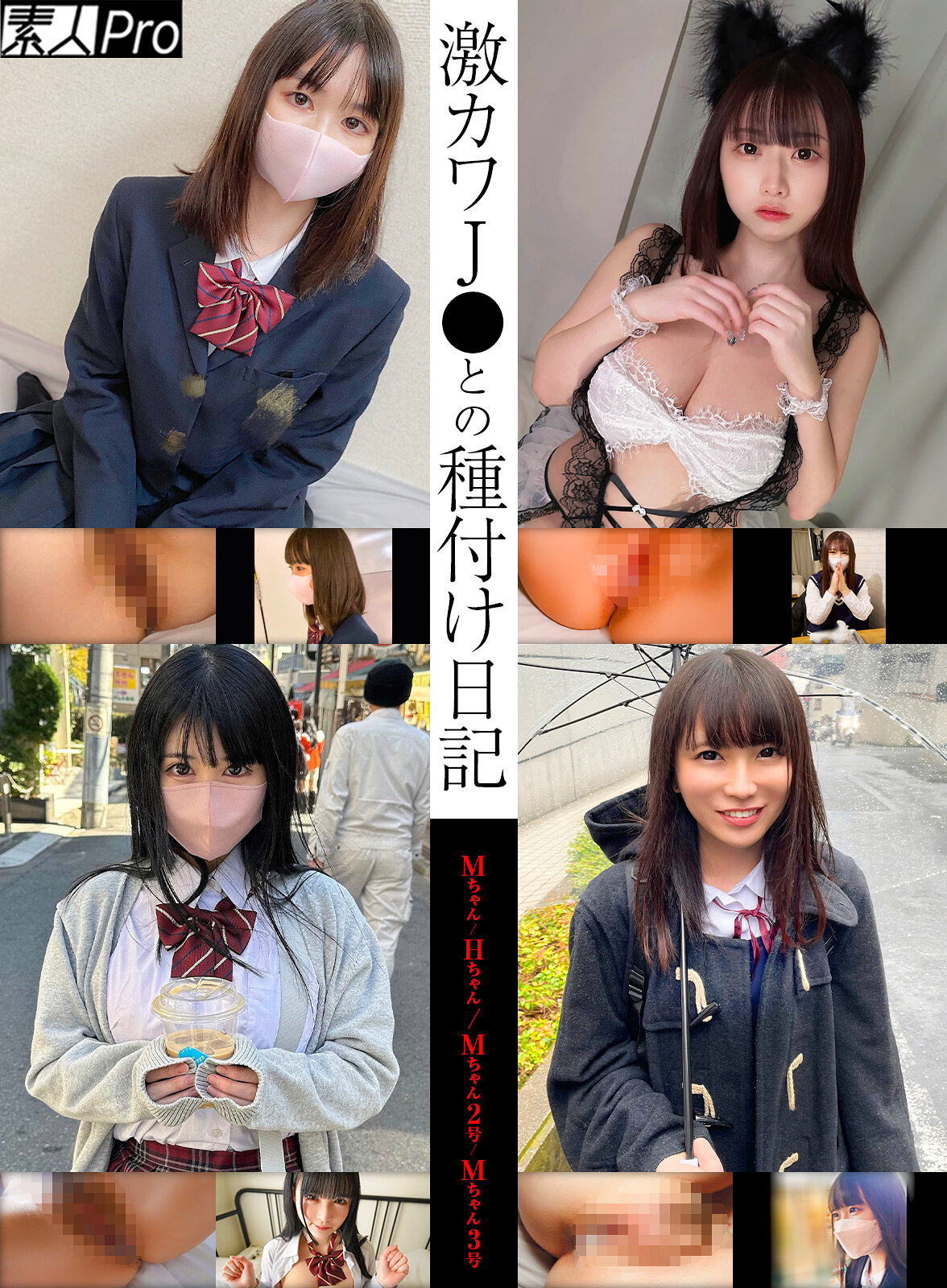 パッケージ画像