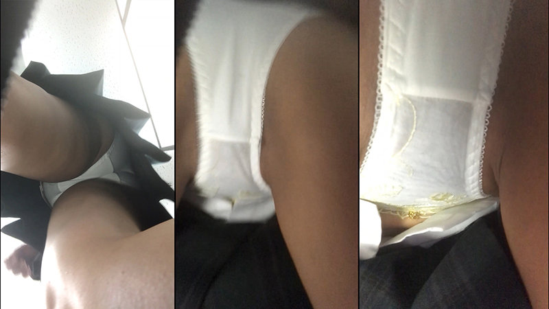 サンプル画像 20