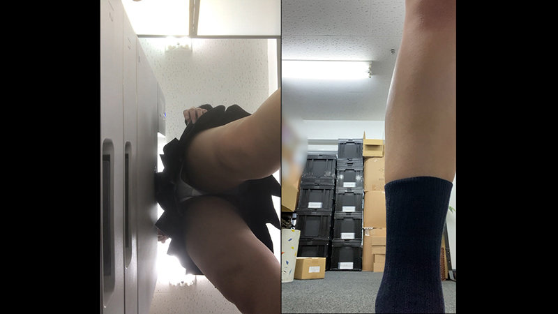 サンプル画像 7