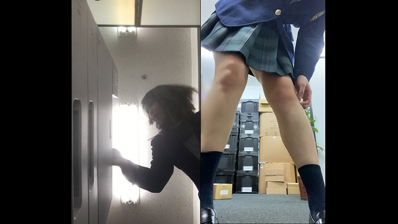 サンプル画像 8