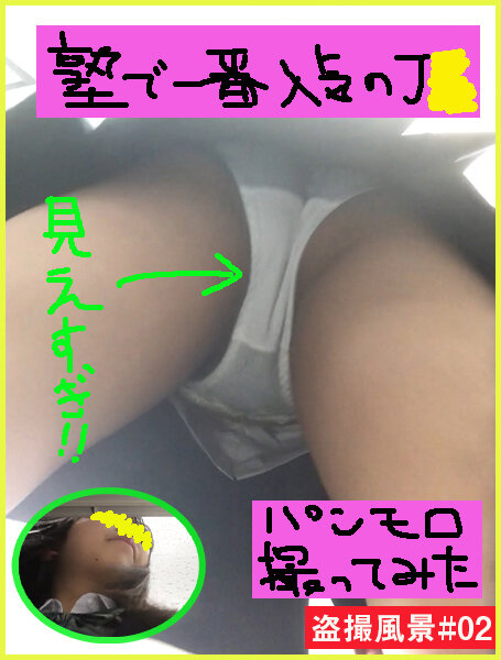 サンプルプレビュー