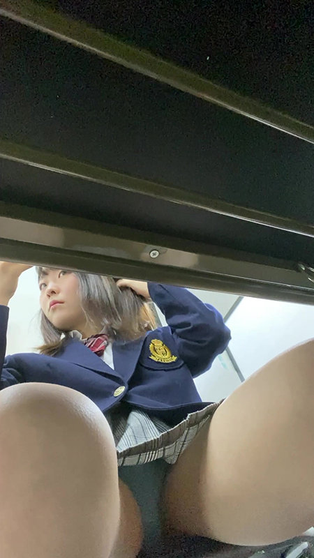 サンプル画像 8