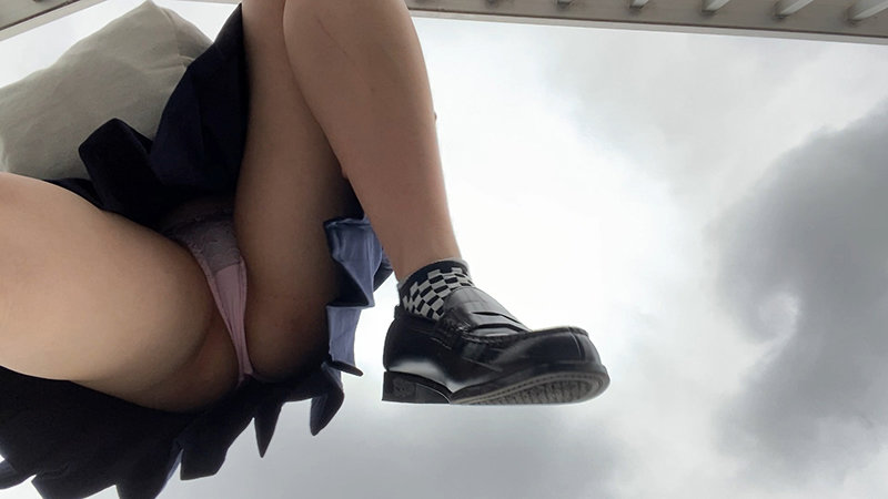 サンプル画像 12