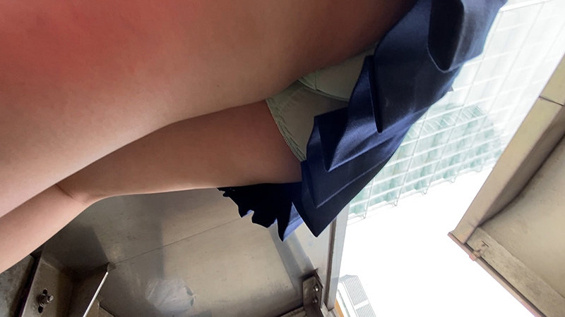 サンプル画像 12