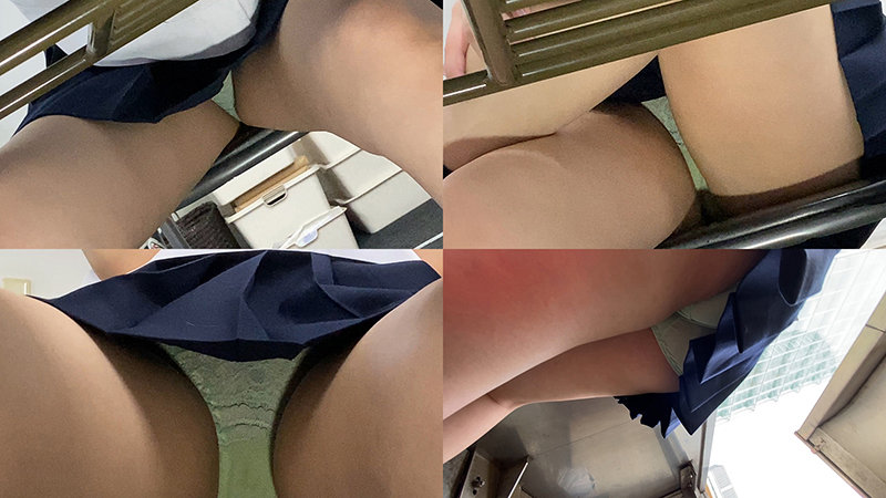 サンプル画像 20