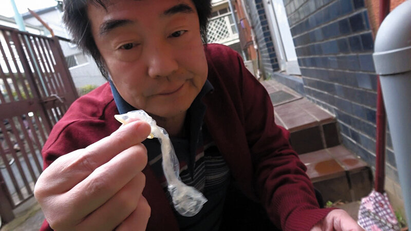 サンプル画像 2