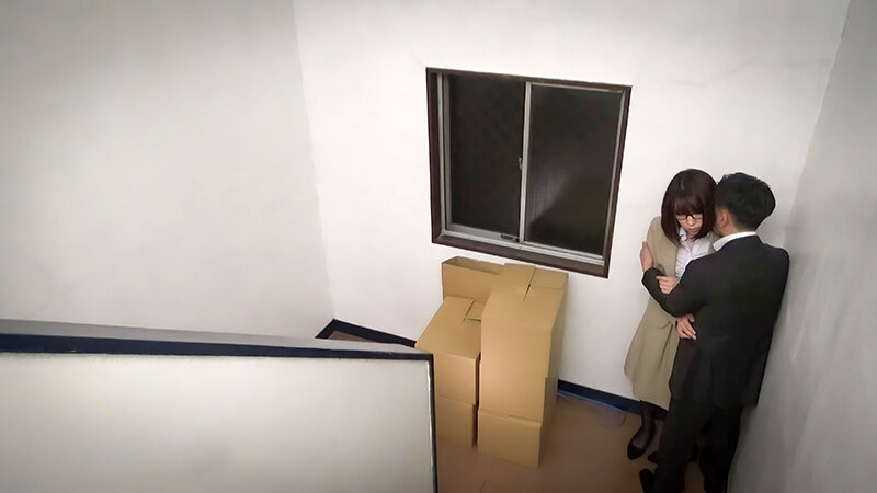 サンプル画像 13