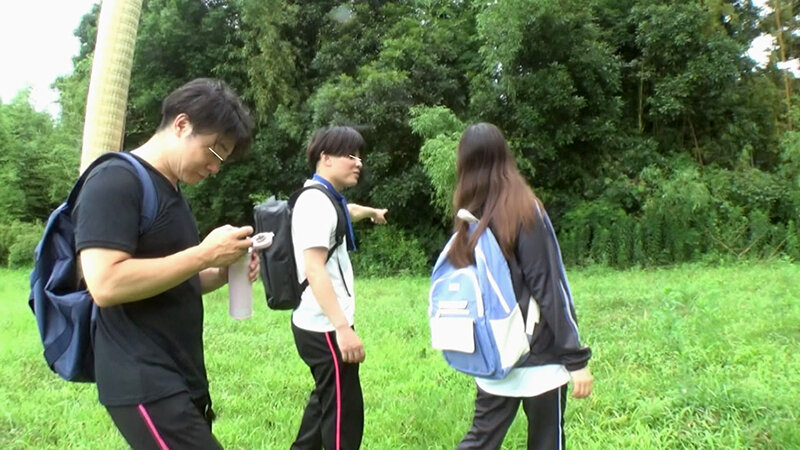 サンプル画像 12