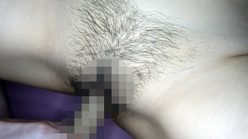 サンプル画像 14