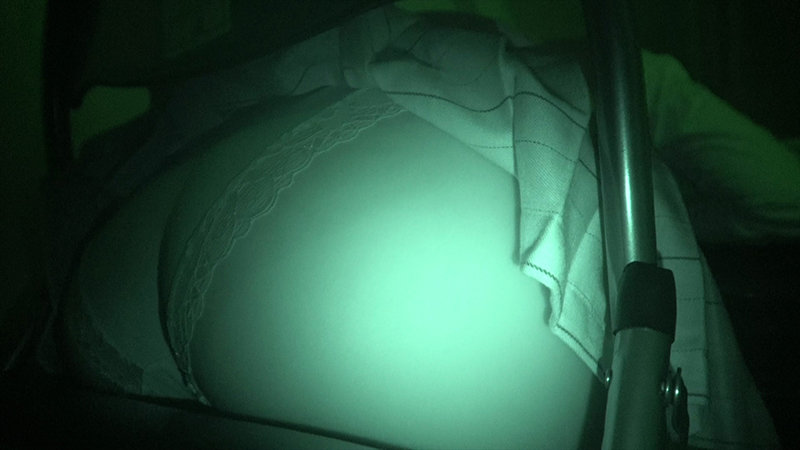 サンプル画像 3