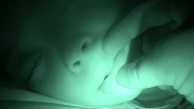 サンプル画像 2