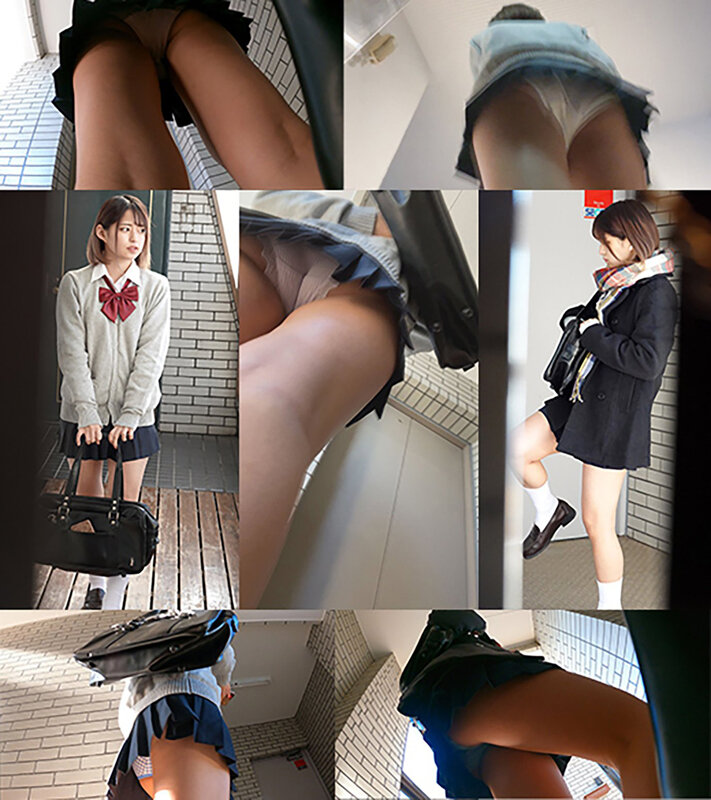 サンプル画像 10