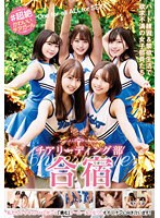 パッケージ画像