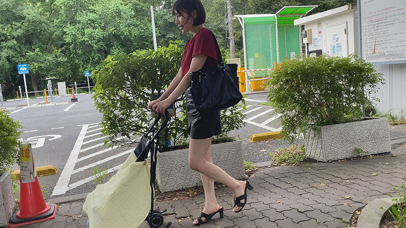 サンプル画像 6